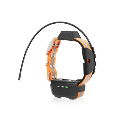 TR-koera® koera krae seade