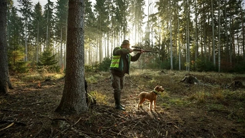 Tuule valdamine: miks on tuule suund jahinduses oluline?